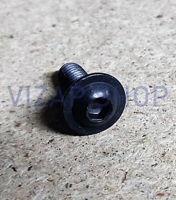 .73800616 - Винт М 6х16 с фасонной головкой и шестигранным углублением