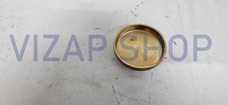 240100038504 - Заглушка большая БД YTO NLX1024 (6NC.020108)