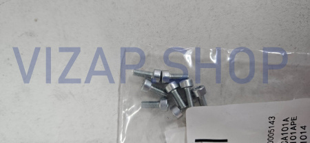 240100389538 - Винт с внутренним шестигранником ГБЦ YTO ELG1604 (B00005143)