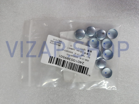 240100389501 - Заглушка(Φ18) передняя БЦ YTO ELG1604 (S00003875+01)